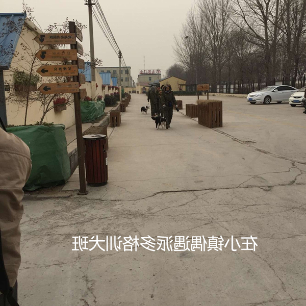 QQ图片20160120155252_副本.jpg