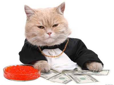 1475908548154706.jpg 猫猫1.jpg