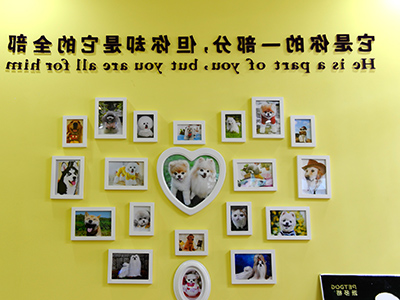 1509416271797400.jpg 42.jpg