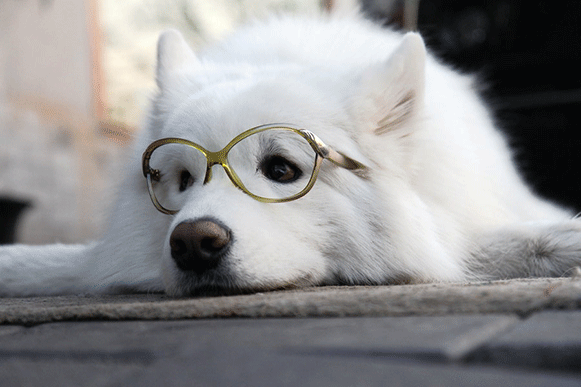 1519462303270585.gif fhjhio51.gif