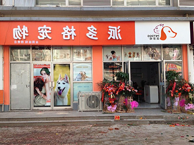 开宠物店经营多大的面积 开宠物店经营多大的面积