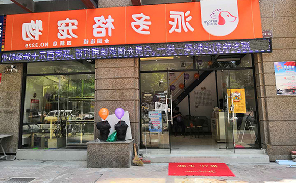 开宠物店需要的是学习、实践 开宠物店需要的是学习、实践