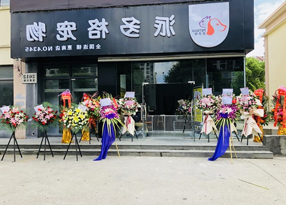 开宠物诊所须知的基本条件 开宠物诊所须知的基本条件