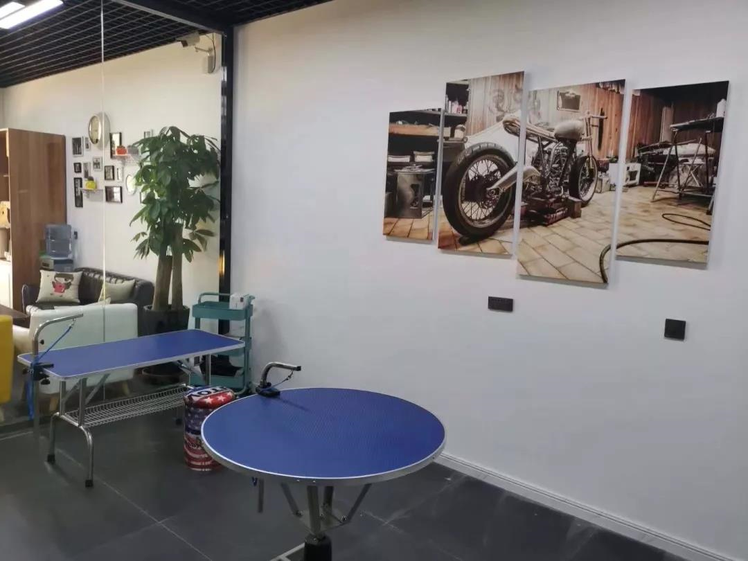 派多格宠物连锁加盟店 派多格宠物连锁加盟店