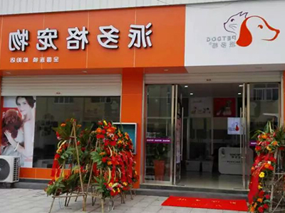 宠物店最新的宣传推广方式 宠物店最新的宣传推广方式